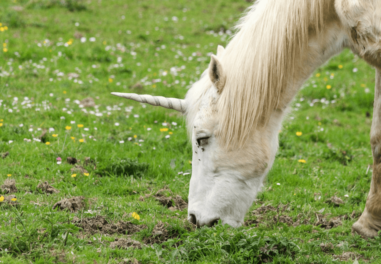 Les nouvelles licornes européennes de 2026 : qui sont-elles ?